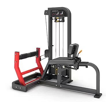 Seated Calf Machine best